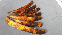 Federn Naturfeder volle Länge TRE CAMO FIRE