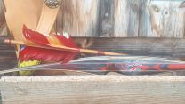 Langbogen Stallion Longbow Symphony 68" 25-45# RH/LH