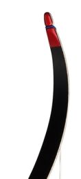 Recurve Ragim Matrix EVO BLACK Wurfarme Limbs