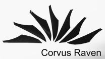 Feder gestanzt alle Farben Corvus RAVEN Naturfeder rw