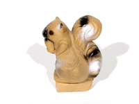 Franzbogen Eichhörnchen IFAA 4