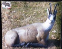 Wetterfeste Zielscheiben Gämse 81x 65 cm ITALESPANSO