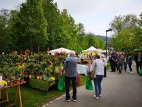 Standplatz Grüner Sonntag 2025 Händler