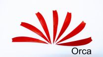 Feder gestanzt alle Farben ORCA 4" Naturfeder rw