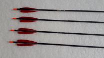 Carbon Pfeil BEMAN Powerflight Komplettpfeil