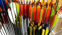 Carbon Pfeil Easton Powerflight
