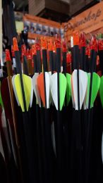 Carbonpfeil Anfängerpfeil für Kinder und Jugendliche mit Plastic Fletches
