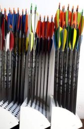 Carbon Pfeil Easton Inspire 
