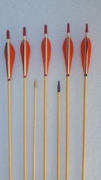 Profipfeil Holzpfeile Bergfichte Custom PARABOL mit Naturfedern