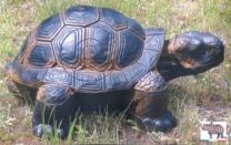 Wetterfeste Zielscheiben Schildkröte rechts ab 60 x40 cm ITALESPANSO